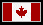 Black Tree Design Ltd. Canada : Order Online now in Dollars